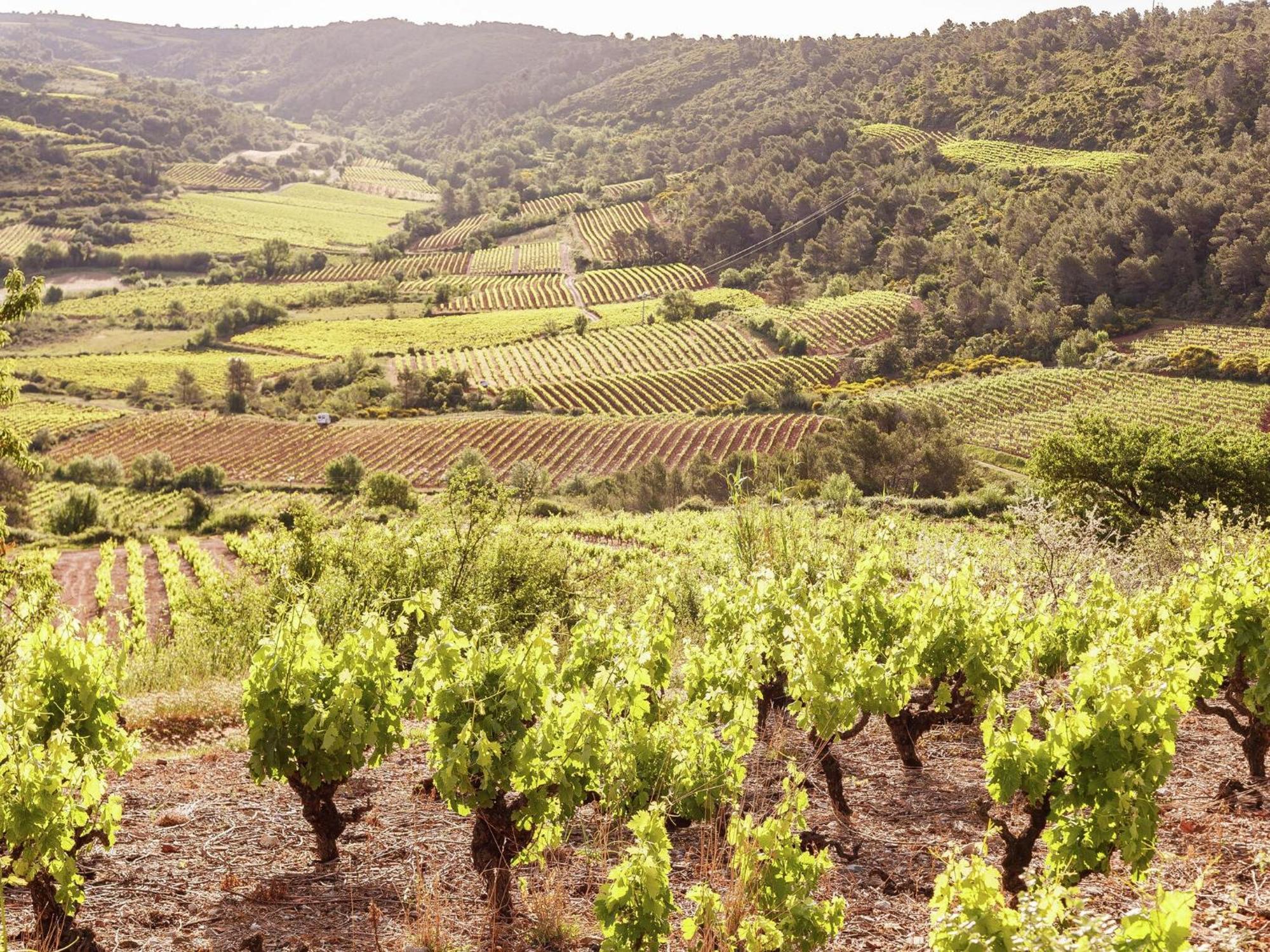 Cosy Holiday Home In Lantheuil With Garden Villefranche-du-Perigord Ngoại thất bức ảnh
